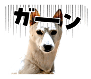 835799553