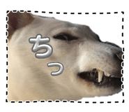 835799554