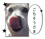 835799555