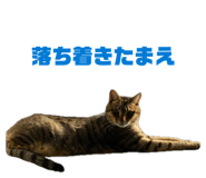 835801091