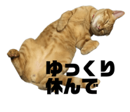 835801093