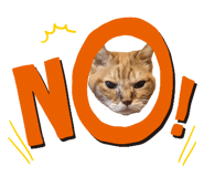 835805566
