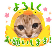 835805572
