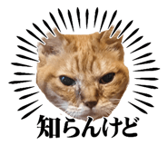 835805600