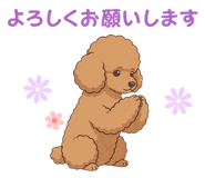 835806155