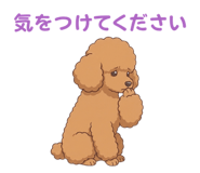 835806156