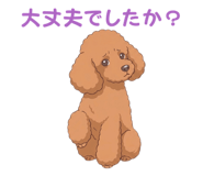 835806164