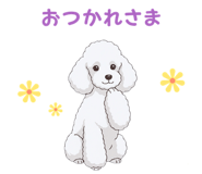 835806231