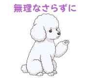 835806253