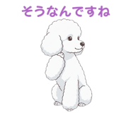 835806256