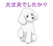 835806260