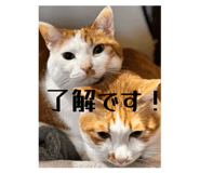 835848621