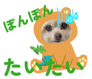 835851874