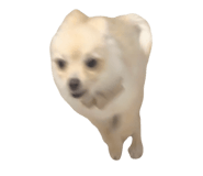 835851885