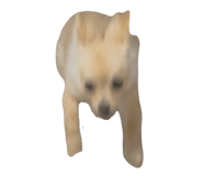 835851886