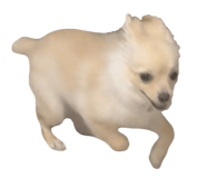 835851887