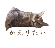835852798