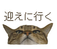 835852800