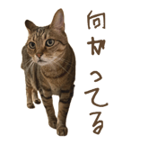 835852803