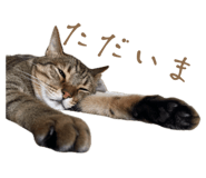 835852808