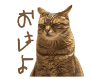 835852811