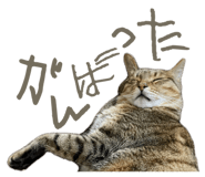 835852814
