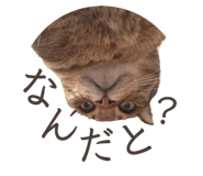 835852816