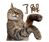 835852819