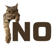 835852821