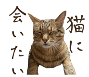 835852827