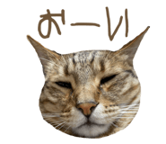 835852829