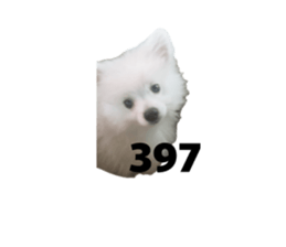 835854841