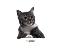 835855561