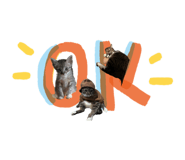 835855568