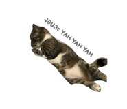 835855574