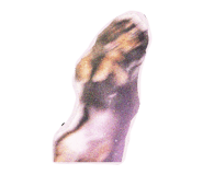 835857773