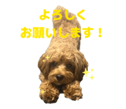 835858293