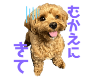 835858311