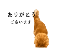 835858621