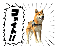 835859305