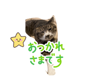 835859586