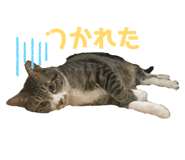 835859591