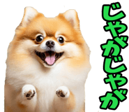835873491
