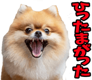 835873494