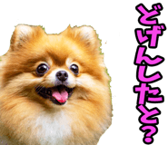 835873495