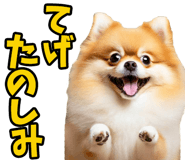 835873502