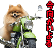 835873508