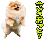 835873509