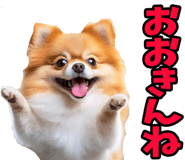 835873513
