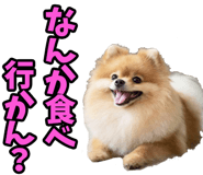 835873517